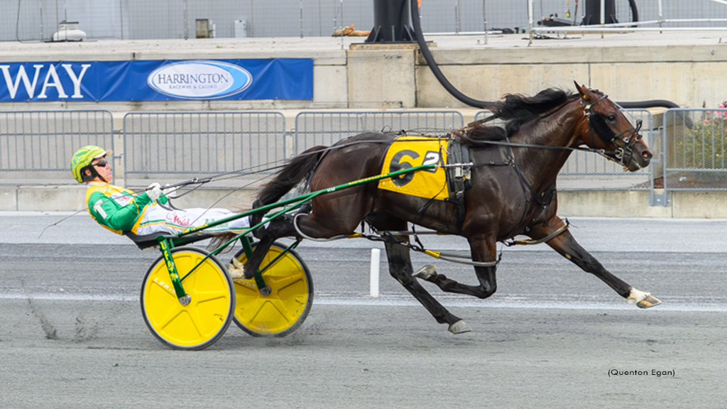 Rookie Pacing Colts Do Battle In DSBF Prelims
