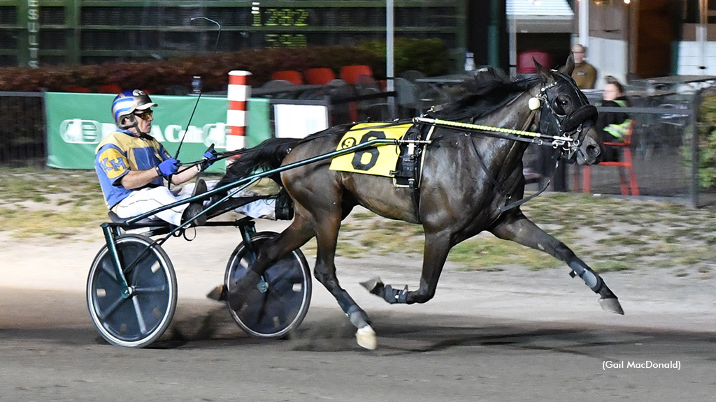 West River Jet Ties Record In P.E.I. Colt Stakes