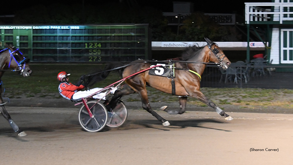 Wind Blown Dazzles In Charlottetown Preferred