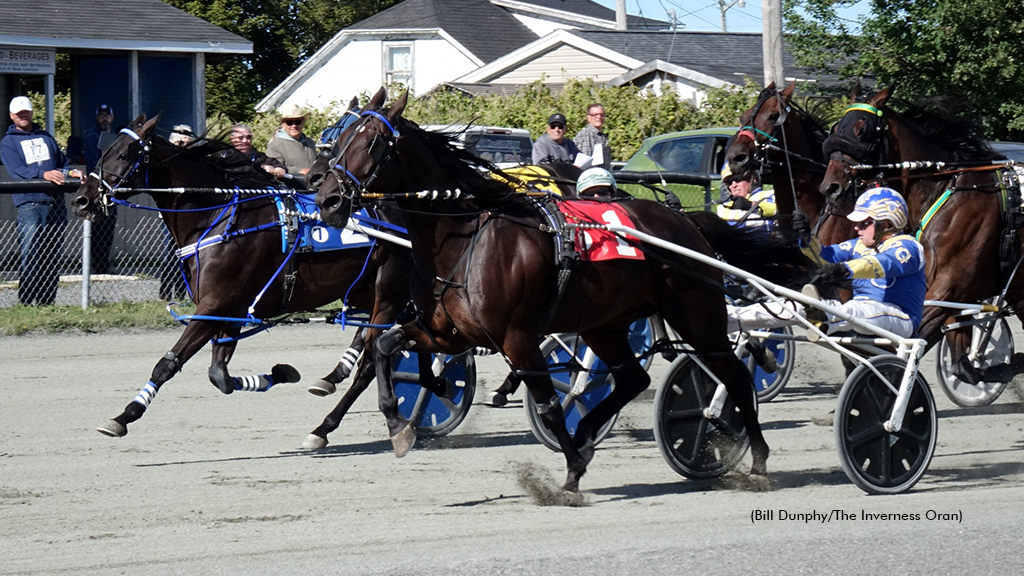 Windemere Best Man Wires Top Inverness Pacers