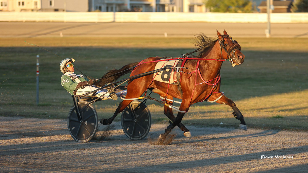 Undefeated Windemere Skye Scores In Atlantic Sires Stakes