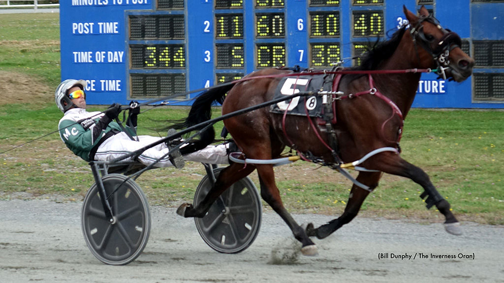 Campbell Secures Five; Windemere Skye Makes It Nine At Inverness