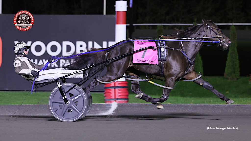 Always B Naughty Very Good In Breeders Crown Open Mare Pace