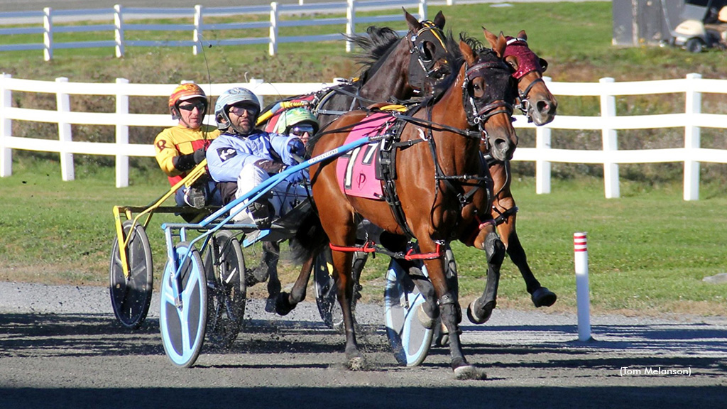 Open Winners Sparkle At Plainridge