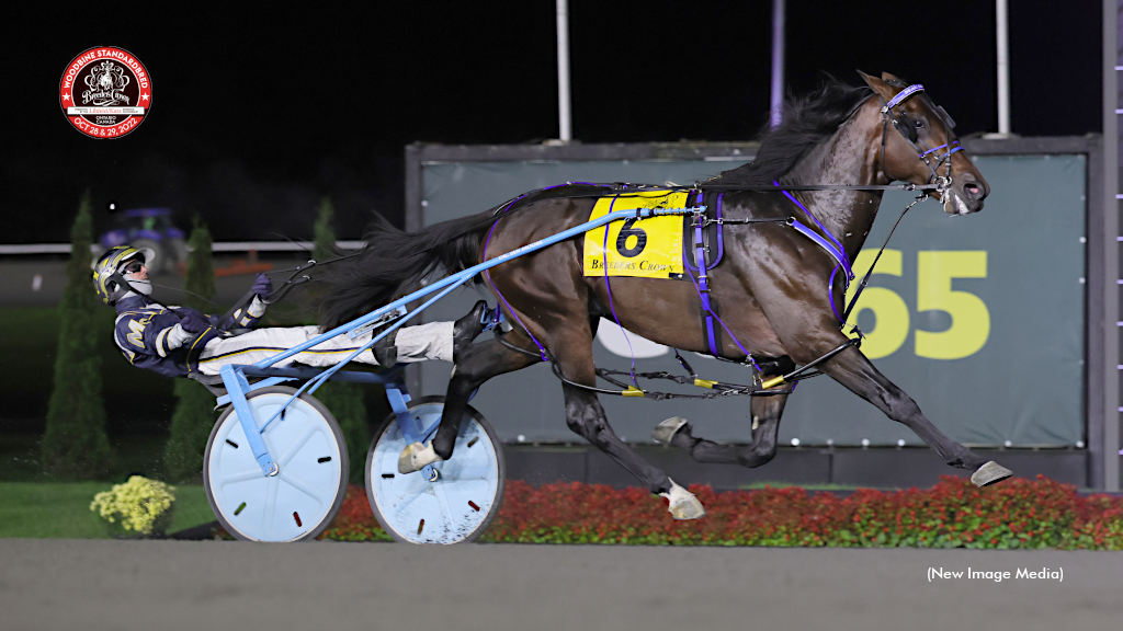 Beau Jangles New No. 1 In Harness Racing Poll