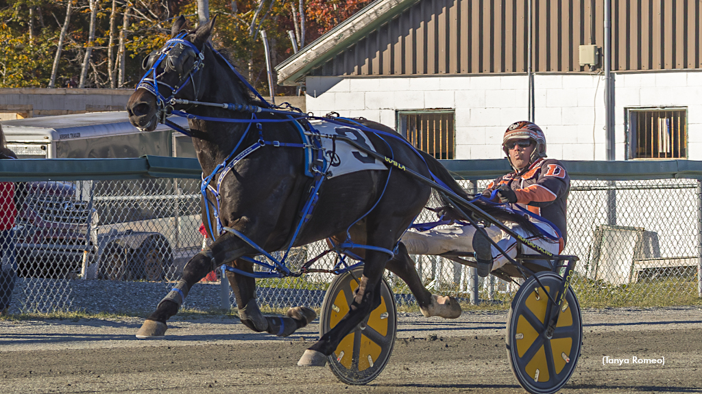 Big Boy Hill Best In Harvest Series Final