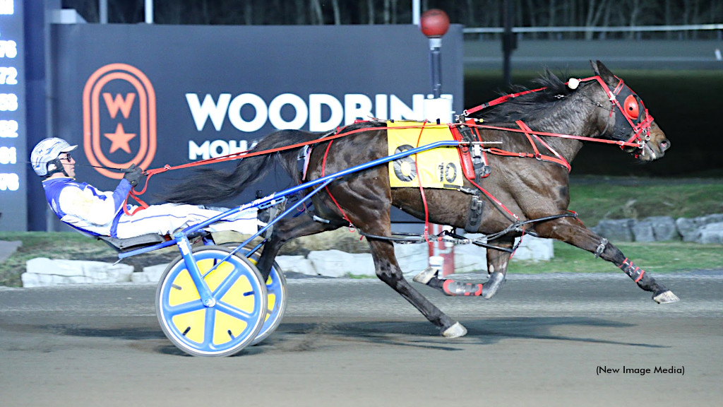 Bookie Baby In Mohawk Spotlight