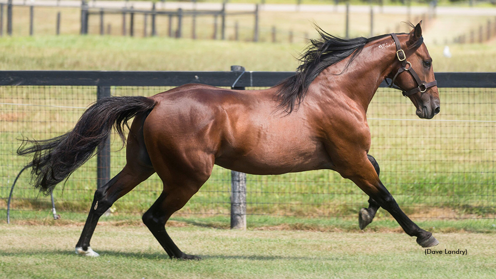 American Breeders Bullish On Ontario