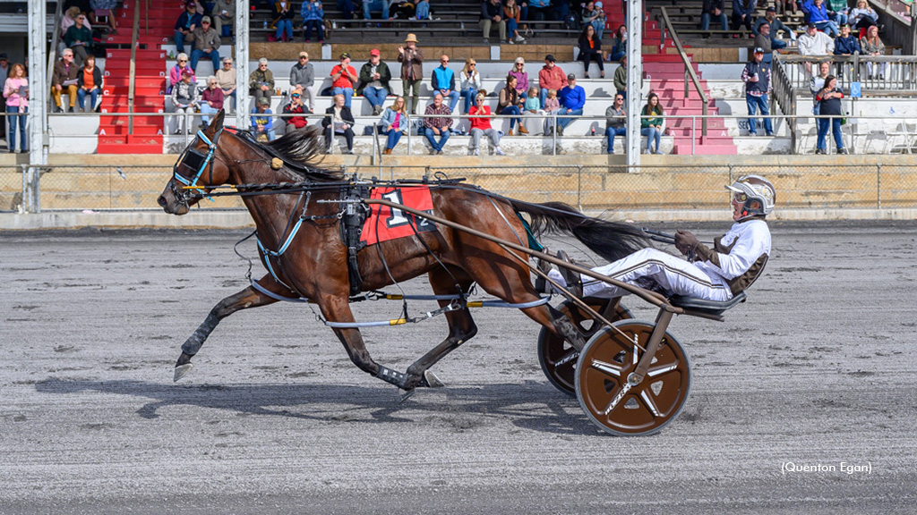 Caviart Daisy Shatters Record In Viginia Breeders Final