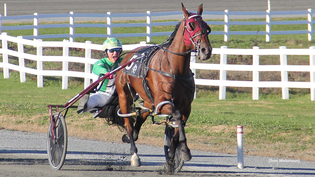 Courageous Warrior Sets Records In Massachusetts Stakes
