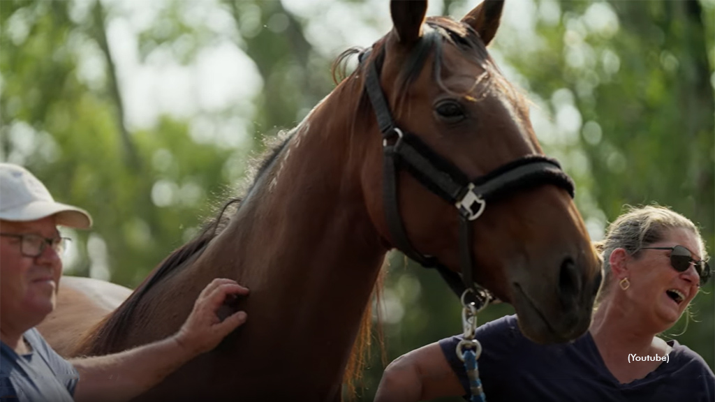 From Underdog To Top Broodmare