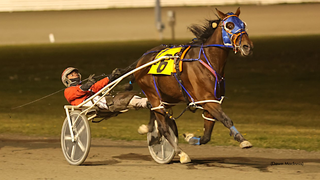 Doc Awesome Brushes And Crushes At Summerside