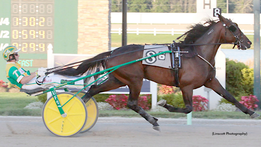 Fiftydallarbill Passes