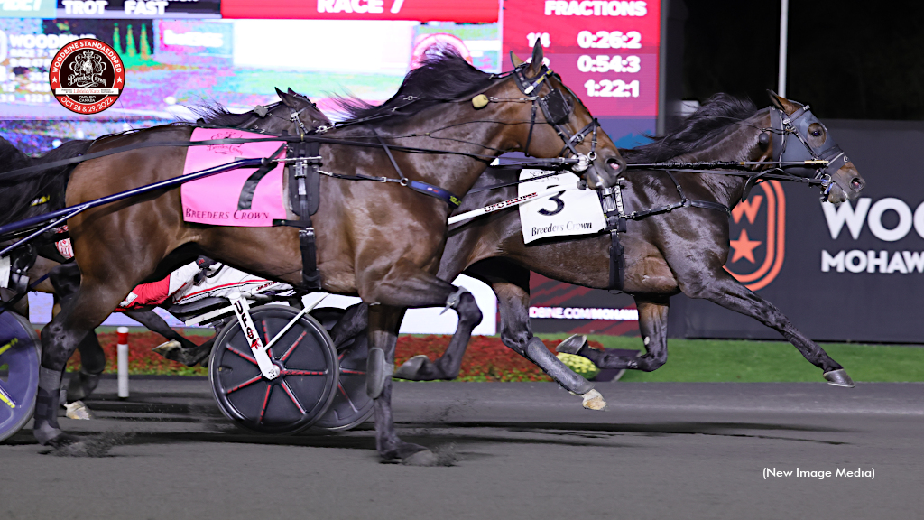 Vintage French Wine In Breeders Crown Open Trot
