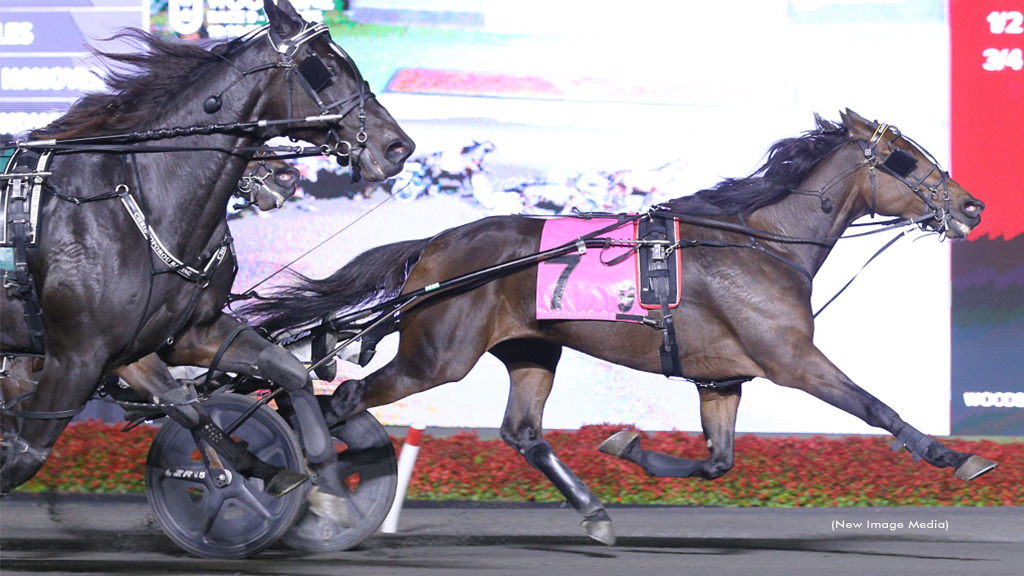 Gaines Hanover Becomes Millionaire With Mohawk Open Win