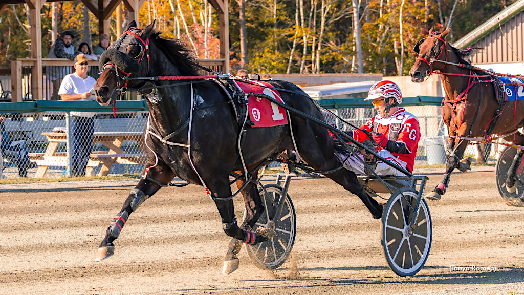 Harvest Series, Hugh Heff Make Headlines At Northside