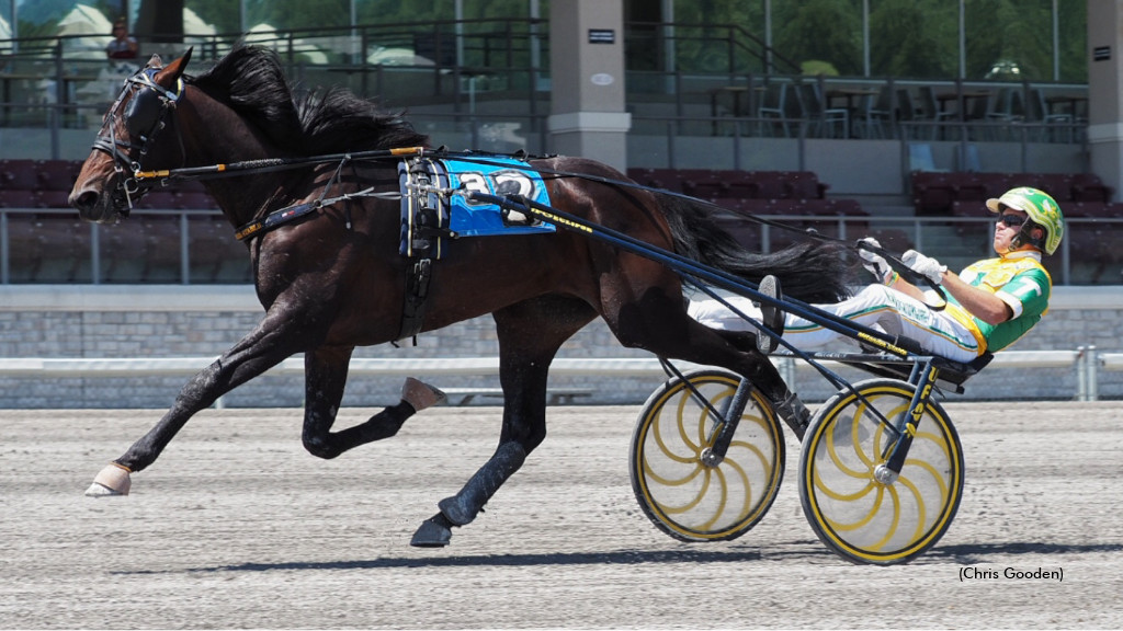 In Range's 2026 Book Full And Closed 