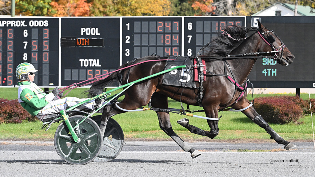 Joey Joe Takes Spa Debut For New Connections