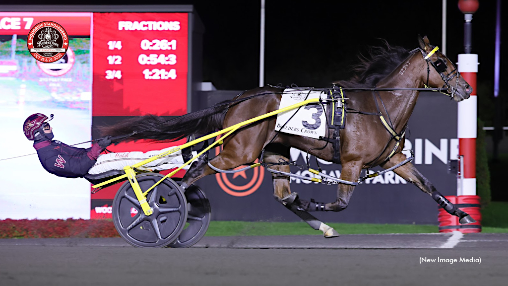 Loua Dipa Divine In Breeders Crown Final