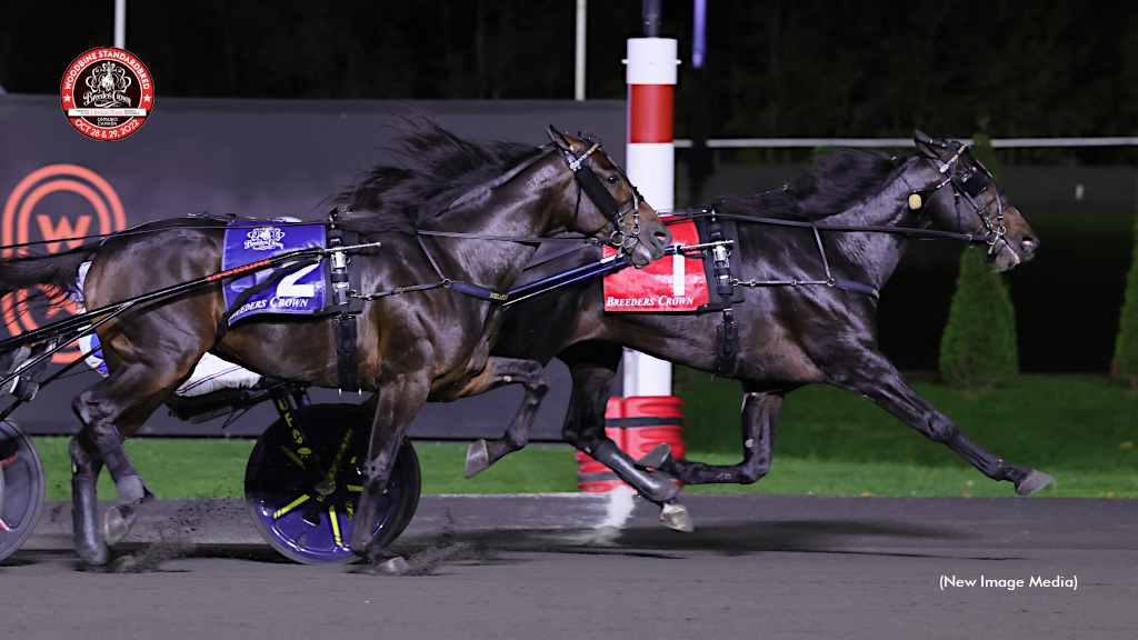 Meshuggah Magnificent In Breeders Crown Stunner