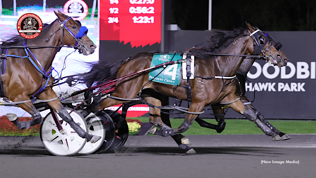 Miki And Minnie, The Last Martini In Breeders Crown Dead-Heat