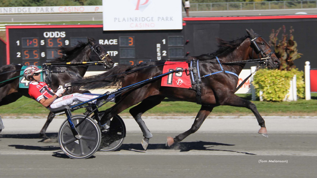 Lifetime Efforts Galore In Massachusetts Stakes