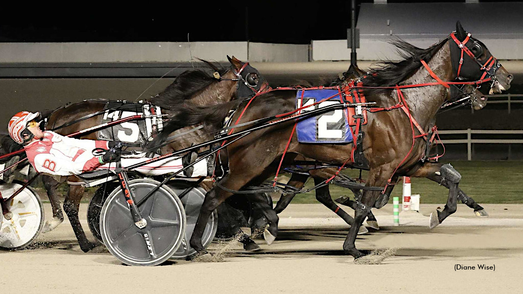 Our Honor Defend Seeks Courageous Lady Upset