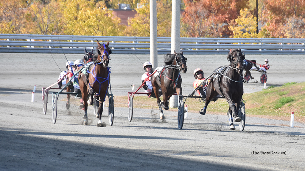 Prince Of Sussex Rebounds In 3R Preferred