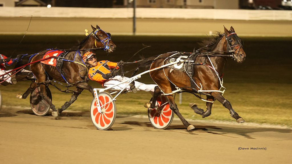 Sauble Attack Wires Summerside Feature