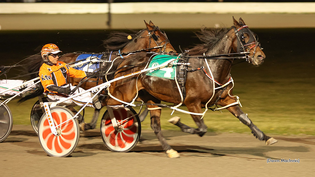 Sauble Attack Strikes In Summerside Preferred