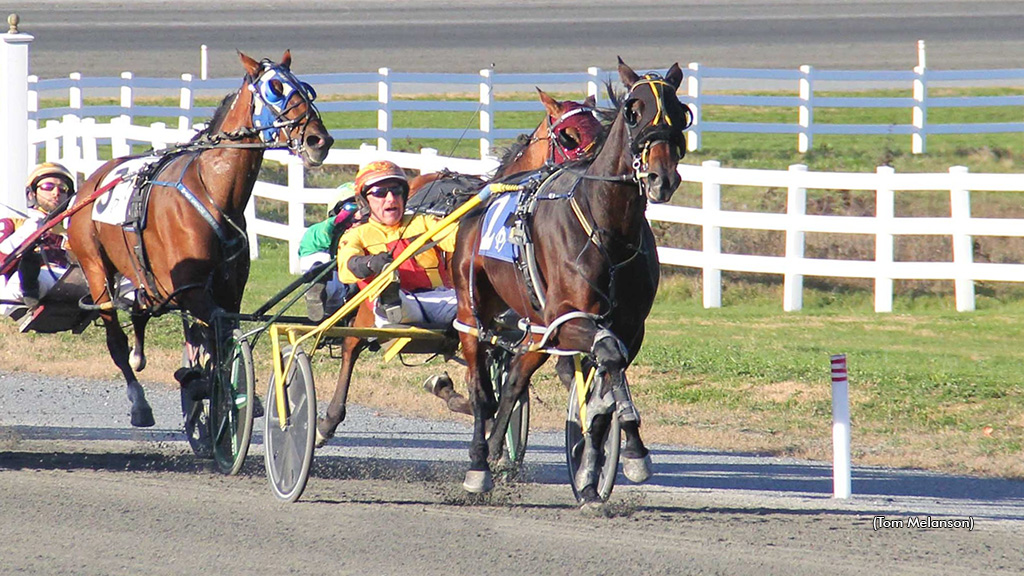 Upsets In Both Plainridge Open Paces