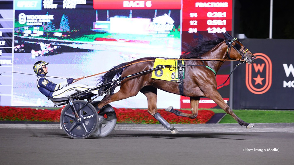 Stormont Beautiful Supplemented To Breeders Crown