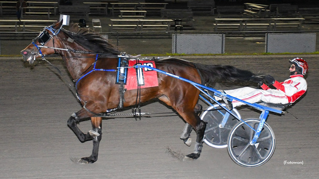 Sweet Valley Romps In Vernon Feature