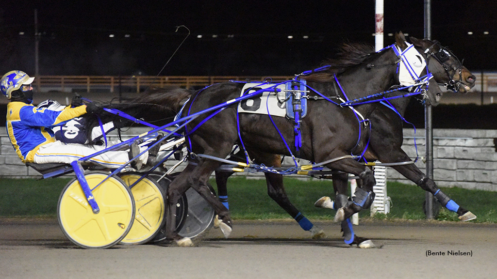 The Light Speed Gritty In Rideau Preferred Win