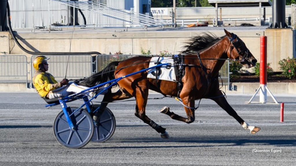 Thiskissformaryell Fastest Of DSBF Trotters