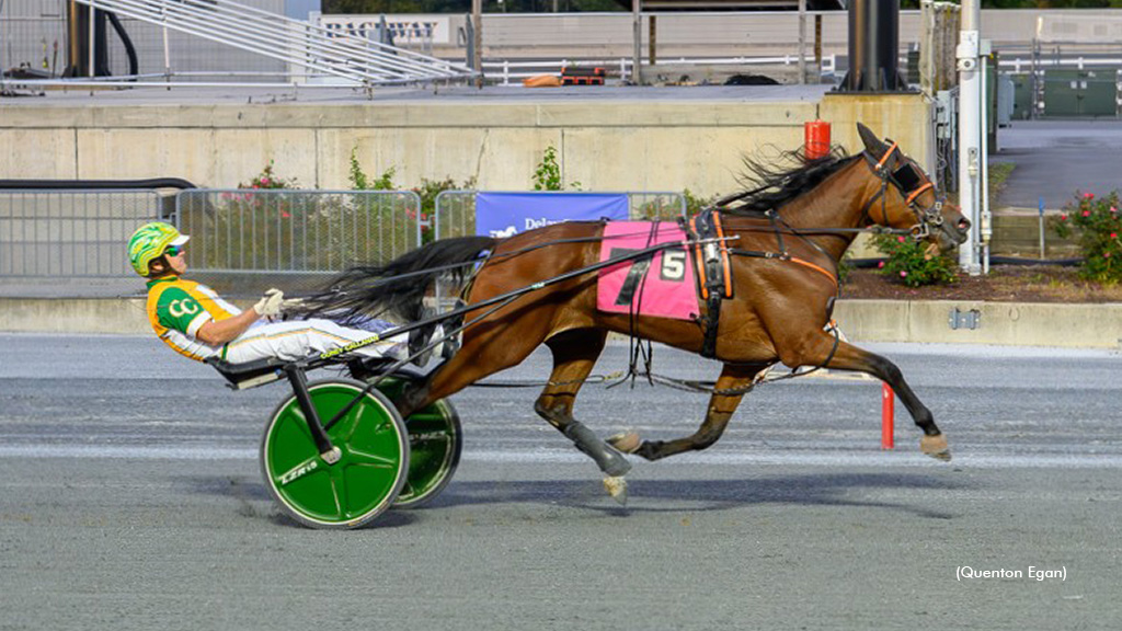 Rookie Trotters Complete DSBF Sweeps