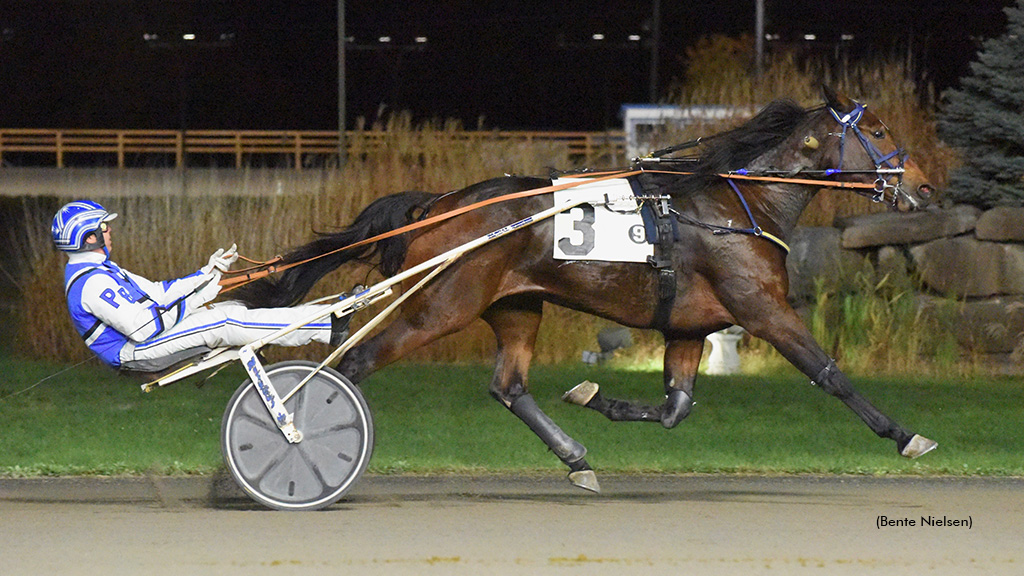 Tyrone Bow Tie Back On Top In Rideau Preferred