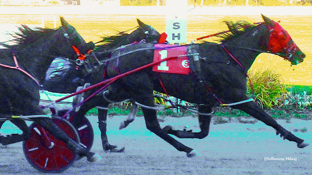 Venice Blue Chip
