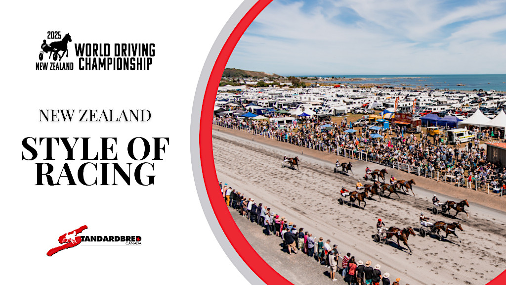 Harness Racing In New Zealand