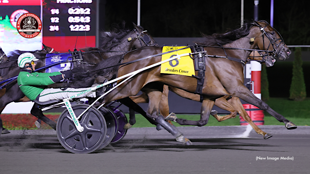 Warrawee Michelle Makes Breeders Crown History