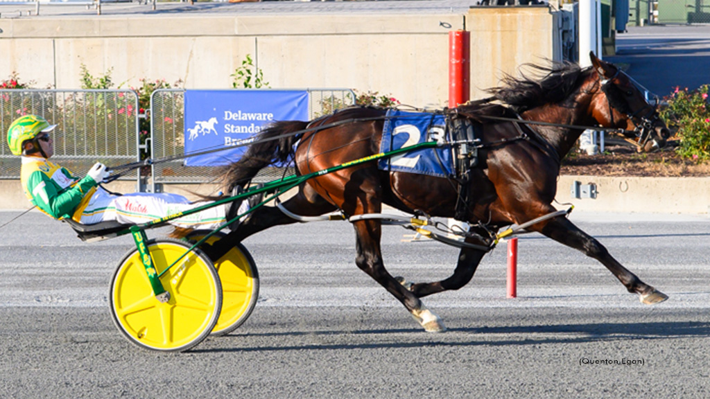 Watch Em Win Decimates DSBF Field