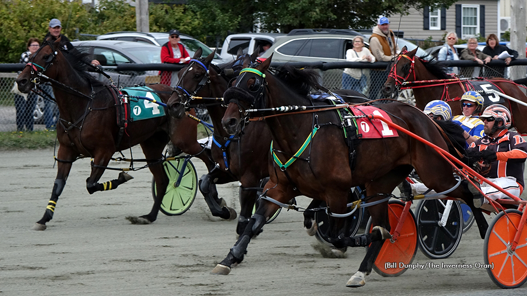 Whats Up Doc Fights Off Inverness Foes