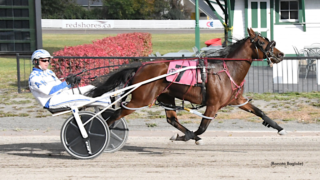 Perfect 10 For Record-Setting Windemere Skye