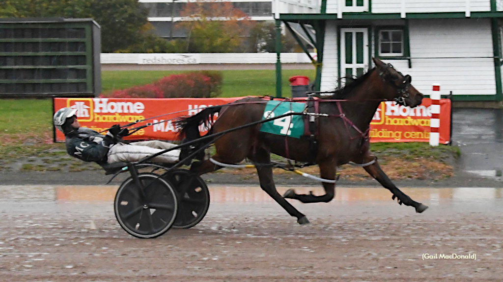 Windemere Skye Perfect Again In Maritime Breeders