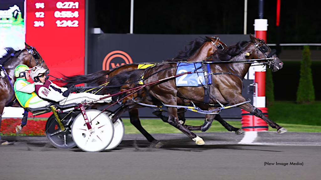 Windor Prepares For Epic Battle