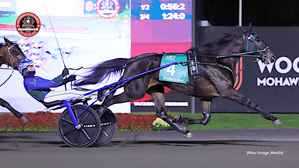 Yo Tillie Amazes Again In Breeders Crown Final