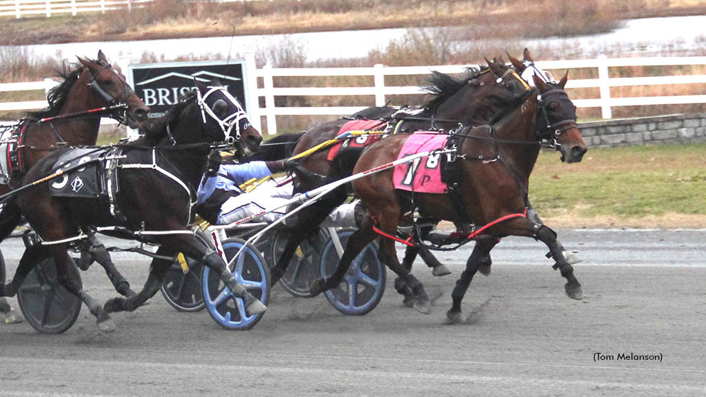 Always Bstunning N winning at Plainridge Park