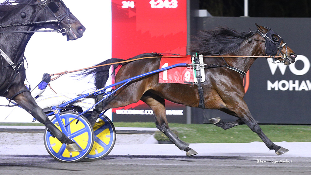 Amigo Volo Takes Mohawk Open Trot