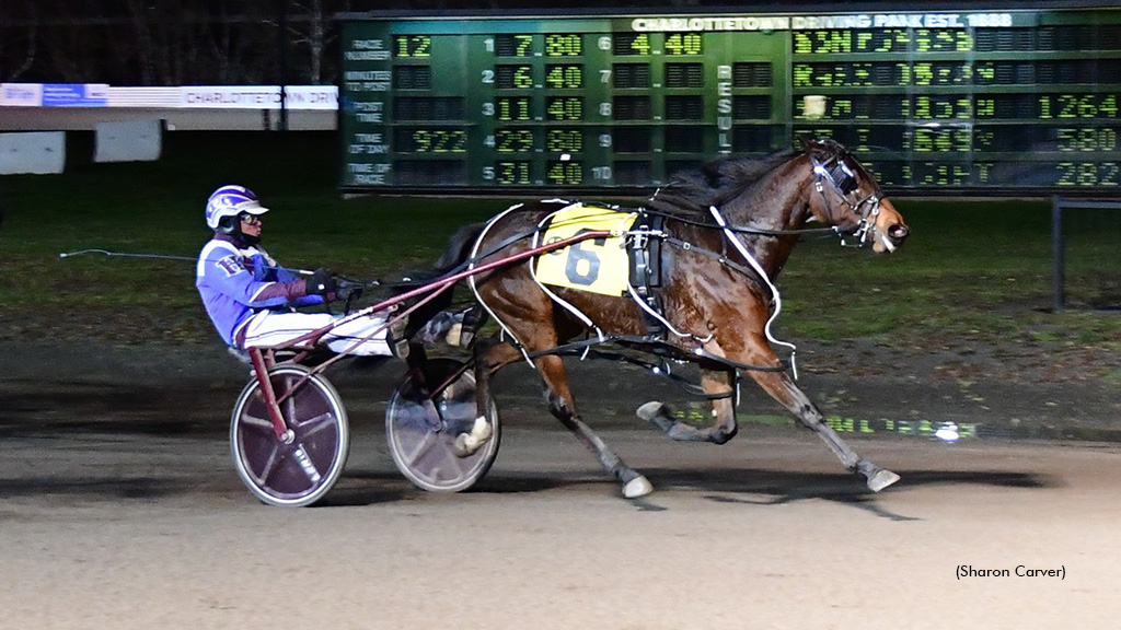 Badgirl Bridgette Reigns In Charlottetown Preferred