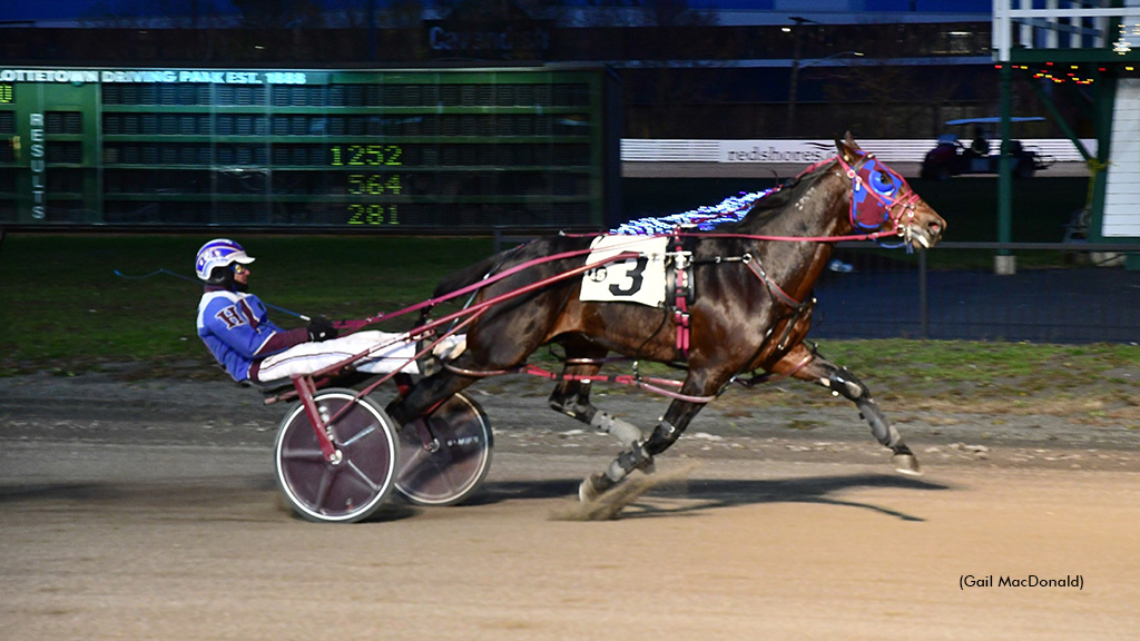 Bee Two Bee Bosses Rivals At Charlottetown